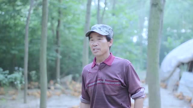 優秀獎：《筑夢鄉村》報送單位：中垾鎮