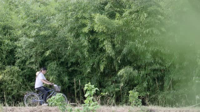 二等獎：《扶貧路上》報送單位：黃麓鎮