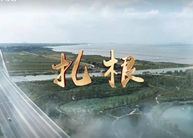 《扎根》（槐林鎮(zhèn)）