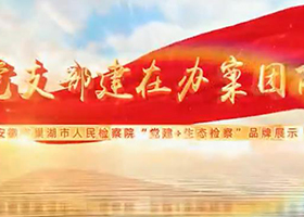 《把支部建在辦案團(tuán)隊(duì)上》（巢湖市檢察院）